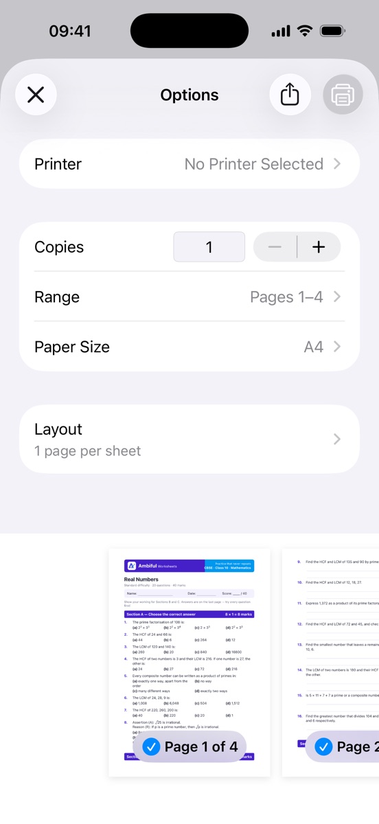 The print options for the worksheet: A4 paper, four pages, with a preview of the first two pages.